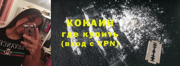 apvp Дмитриев