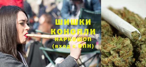 apvp Дмитриев